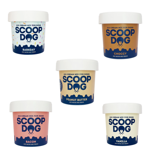 Scoop Dog Ice-Cream