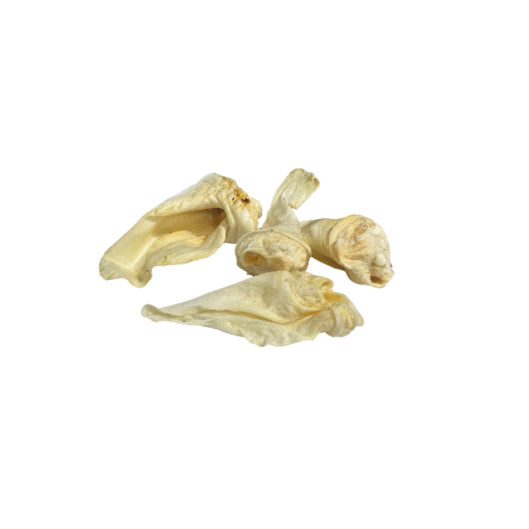 Best Mates Lambs Ear 5 Pack Daisysdiscountsupplies best-mates-lambs-ear-5-pack-daisysdiscountsupplies